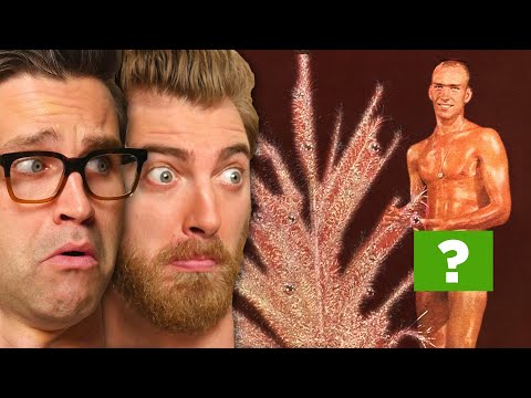 Outrageous Christmas Photos (GAME)