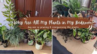 Moving My Entire Balcony Garden Indoors 🌿 | Preparing for a Balcony Makeover
