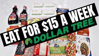 How to Eat for $15 a Week | Dollar Tree Budget Meal Plan | Extreme Grocery Haul