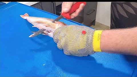 How to Filleting Series - Gurnard