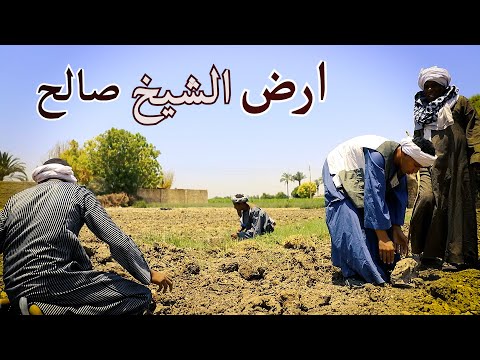 ارض الشيخ صالح قصة حدثت بالفعل في احدي قري الصعيد اعداد قناة صعيدي اون لاين
