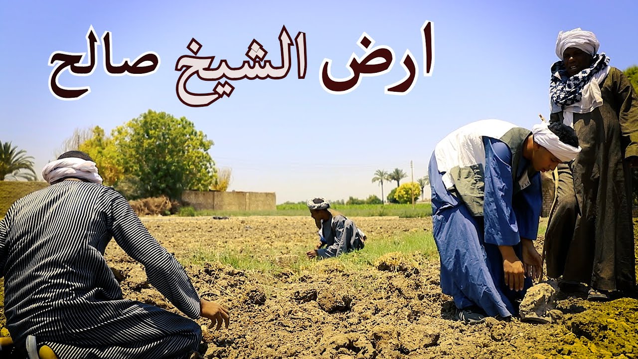 ارض الشيخ صالح / قصة حدثت بالفعل في احدي قري الصعيد / اعداد قناة صعيدي اون لاين