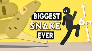What's The Biggest Snake In The World Ever?! DEBUNKED by Debunked 78,136 views 1 year ago 6 minutes, 58 seconds