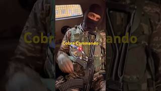 Cobra Commando Status