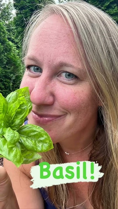 Kitchen Storm Update: Garden Guide   Never Buy Groceries Again? - gwk9yyb