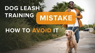 Dog Leash Training MISTAKE - How To Avoid It by SpiritDog Training 12,066 views 1 year ago 3 minutes, 1 second