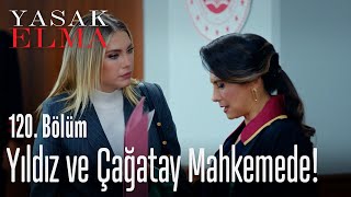 Yıldız Ve Çağatay Mahkemede - Yasak Elma 120. Bölüm