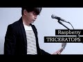 Raspberry / TRICERATOPS【cover】