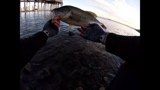 BIG BASS at Mardon Resort!!  (smallmouth and Largemouth) PB's Caught! - Part One