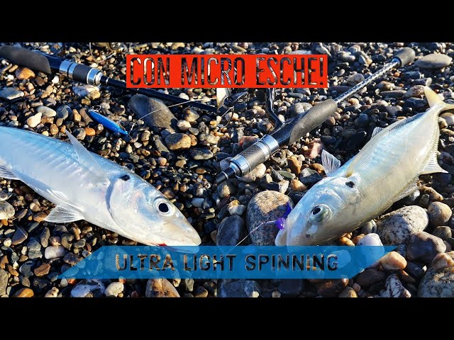 Ultra Light Spinning CARANGHI su MICRO ESCHE! - I primi della