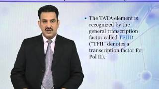 BIO302_Topic112