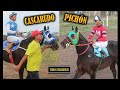 PICHÓN / CASCARUDO - Quimilí (29-04-18)