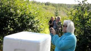 Kevin Beanland Singing And Having A Boil Up In Flat Bay, Nl, Newfoundland