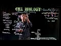 Transfer and Ribosomal RNA