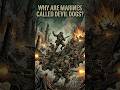 The Lie Behind the Marine Corps "Devil Dog" Myth ⚓️ #usmc