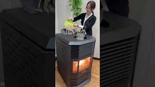 #HeatingStove#PelletHeatingStove#EuropeanStyleWoodPelletsheating stove#trending