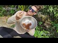 Cùng Người Mỹ Dustin Săn và Ăn Đuông Dừa Sống l Eating Coconut Larvae