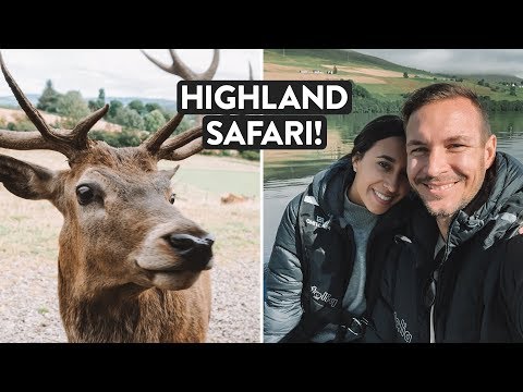 Our best day in Scotland - Feeding Red Deer & Loch Tay Cruise | Highland Safaris [Ad]