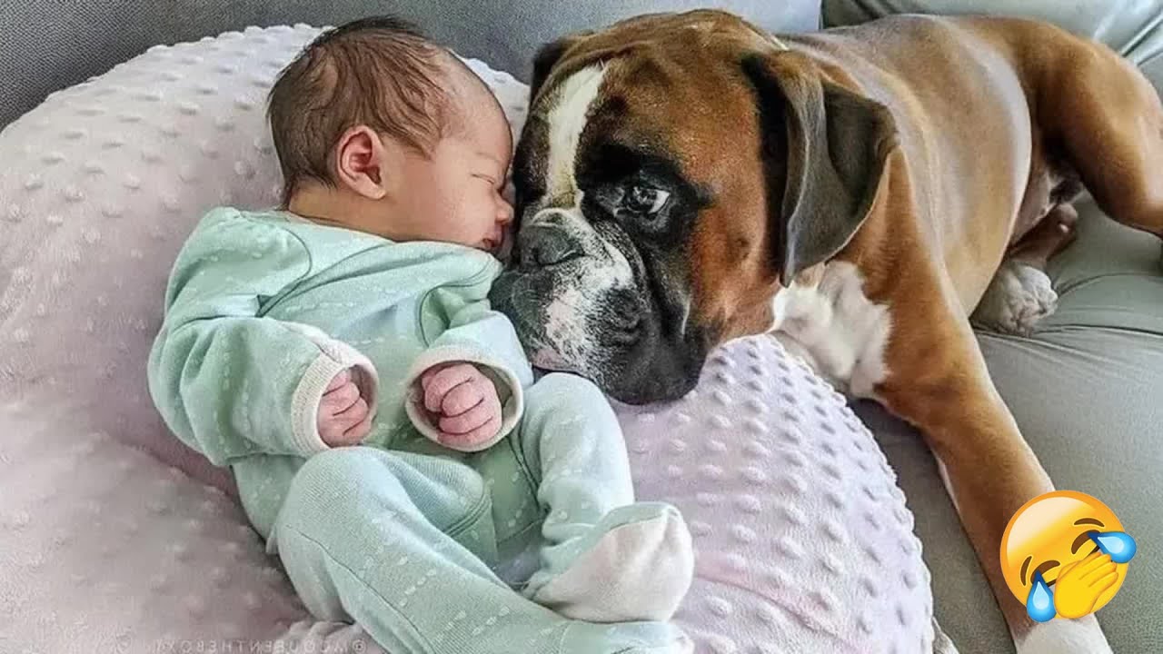 A dog's love for a baby - Heartwarming moments! 🥀 