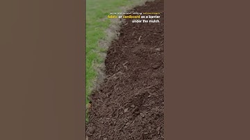 How do I prevent weeds from overtaking my garden