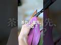 茶色い先、切る？どこまで切ればいいのか分からなくなった時の正解はコレ