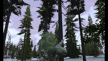 Dayz|Stayr AUG Automatik Rifle