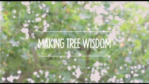 Making Tree Wisdom - Tutorial 3: Using After Effects with VideoScribe