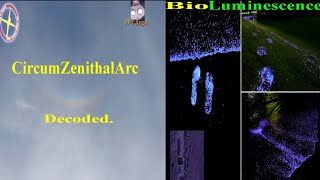 APM Research Live Chat - CircumZenithalArc and Bioluminescence