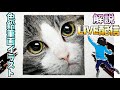 色鉛筆画イラスト塗り方解説ライブ 目じりの毛並み編