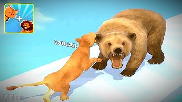 Cat Evolution Game - Gameplay All Levels Walkthrough Part 1 Level 1-15