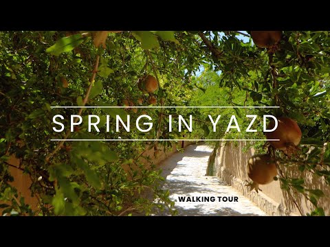          پیاده روی در کوچه باغ های بهاری تفت