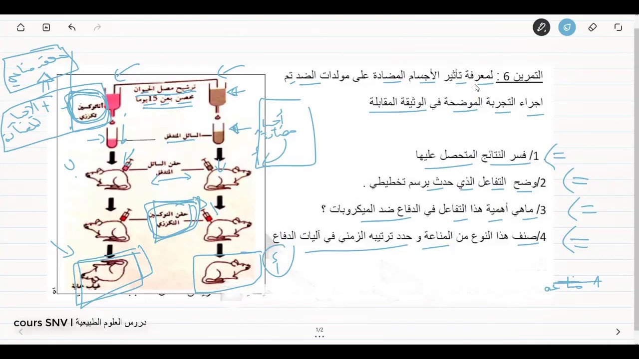 تمرين حول الاستجابةالمناعية الخلطية و المعقدات المناعية