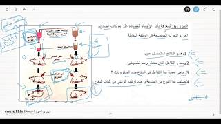 تمرين حول الاستجابةالمناعية الخلطية و المعقدات المناعية