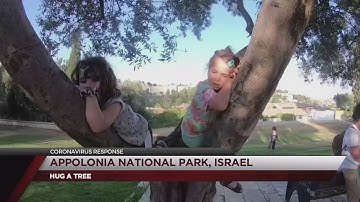 Forest service recommends hugging a tree to fight quarantine loneliness