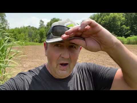 Planting Northwoods Whitetails