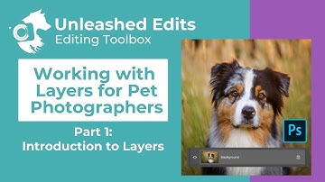 Working With Layers for Pet Photographers Part 1 - Introduction to Layers