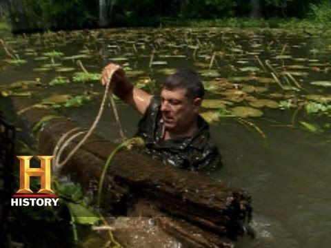 Video: Shelby Stanga Neto vrednost: Wiki, poročen, družina, poroka, plača, bratje in sestre