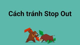 Stop Out là gì - Cách phòng tránh Stop Out trong forex