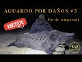 🎥 AGUARDO DE JABALI POR DAÑOS #3