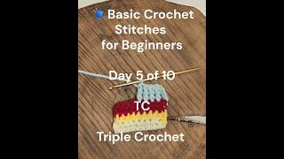 🧶Basic Crochet Stitches for Beginners | TC | Day 5 of 10 #crochet #crochettutorial