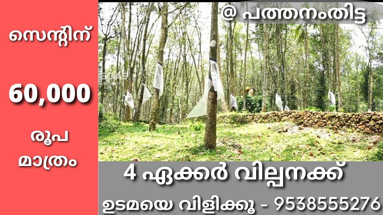 Land For Sale In Pathanamthitta Near Market 60000/ Contact Owner