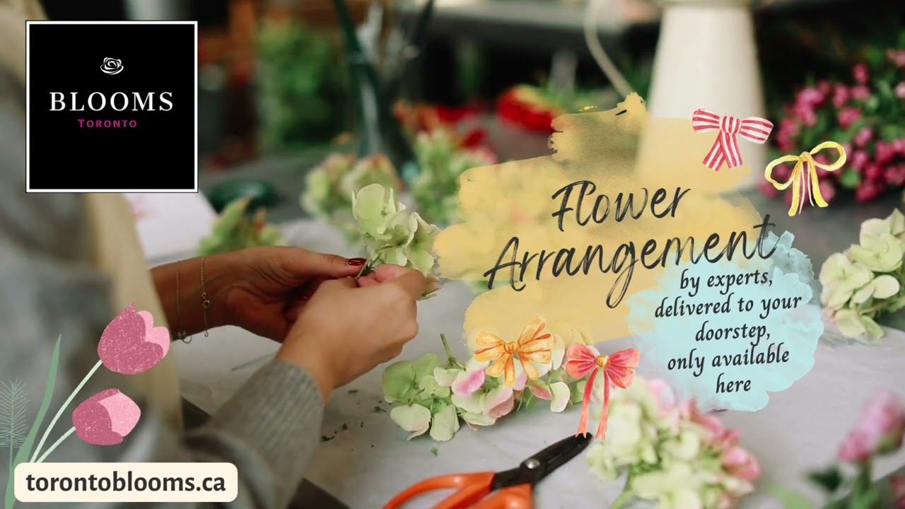 Best collections of blooms and plants Toronto Blooms