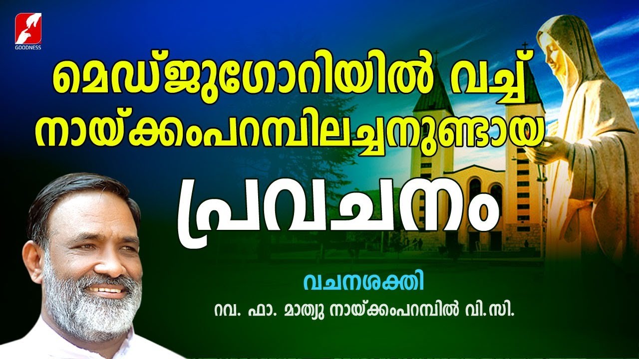 മെഡ്ജുഗോറിയിൽ വച്ച് നായ്ക്കംപറമ്പിലച്ചനുണ്ടായ പ്രവചനം | Fr Mathew Naickomparambil VC | Goodness Tv