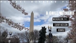 Cherry Blossom of Washington, D.C. 2022 PART 2  #CherryBlossom # Washington #DC Nowruz / Nevruz