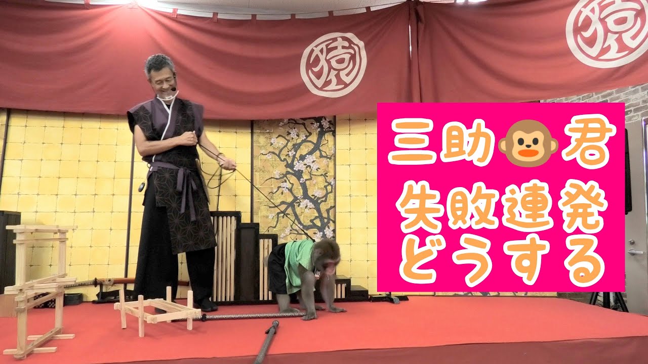 三助🐵君、まさかの失敗連発‼️どうする⁉️　猿まわし🐵二助三助💝　二助企画