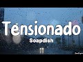 Tensionado (Lyrics) - Soapdish