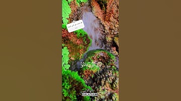 ‏إِنَّ اللَّهَ وَمَلَائِكَتَهُ يُصَلُّونَ عَلَى النبي.. #quran #ياسر_الدوسري #سورة_الاحزاب #اكسبلور