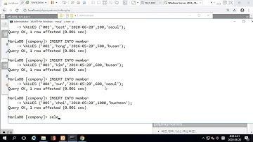 MariaDB 데이터 삽입과 where구문 첫걸음