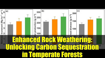 Enhanced Rock Weathering: Unlocking Carbon Sequestration in Temperate Forests