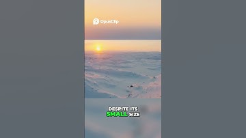 Starlink Mini  - High Speed Internet, Anywhere